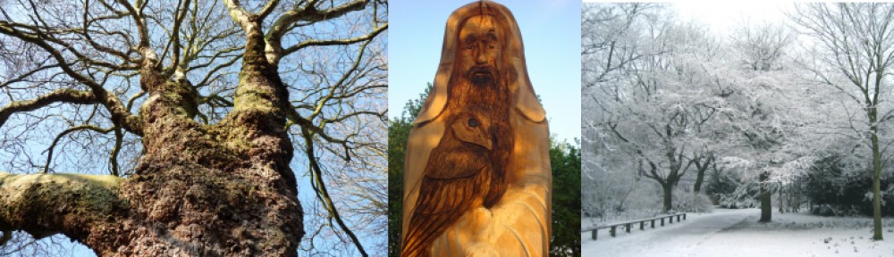 Friends of Worthington Park