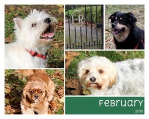 dogsfeb15