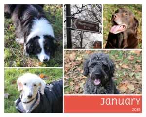 dogsjan15