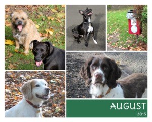 dogsaugust15