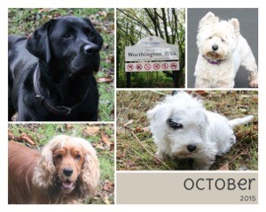 dogsoctober15