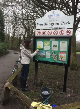 cleaningnoticeboards2016