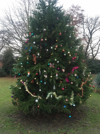 worthchristmastree2016